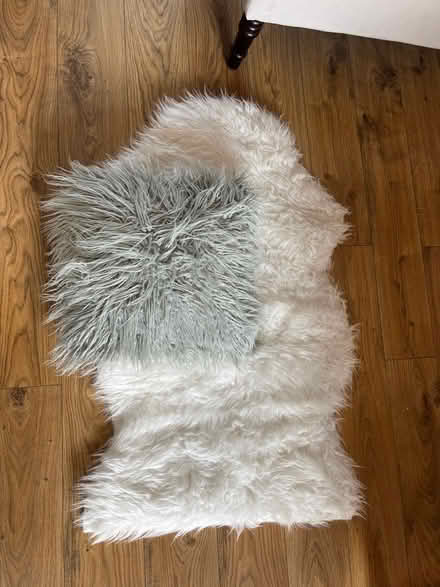 Photo of free Fluffy cushion and rug (Wadsley S6) #1