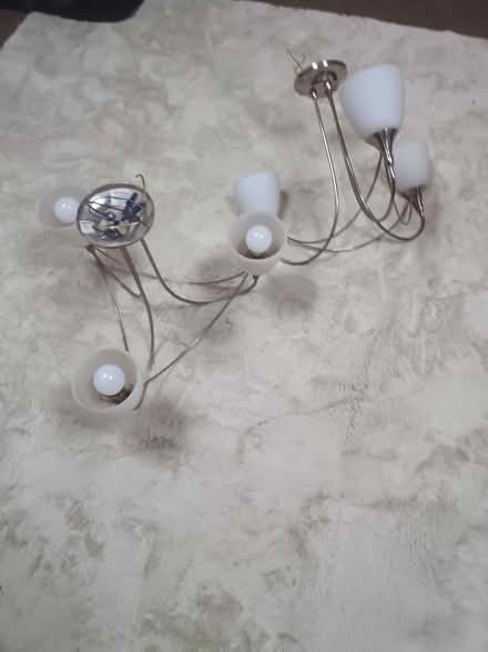 Photo of free Ceiling lights x 2 (Southbourne PO10) #3