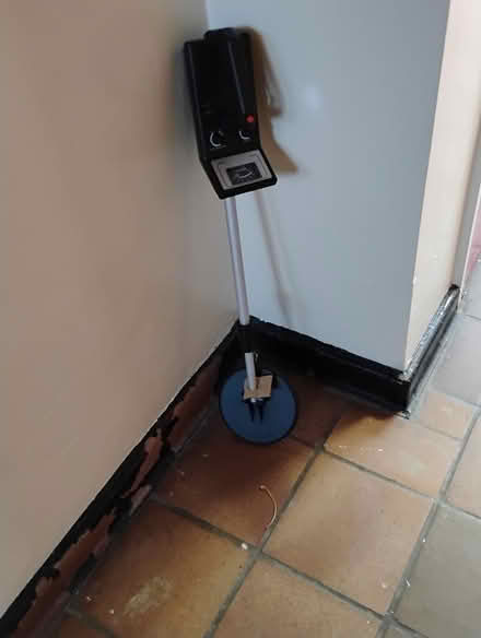 Photo of free Treasure hunter (Anerley SE20) #1
