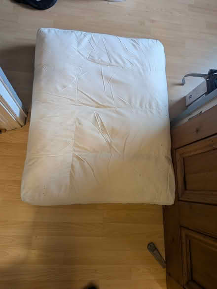 Photo of free Sofa cushion (East Ham E6) #1