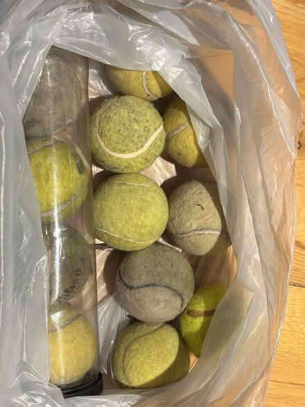 Photo of free Twelve old tennis balls (West End GU24) #1