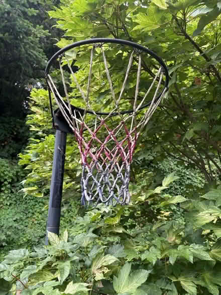 Photo of free Free standing basketball ball hoop (Caversham Rg4) #2