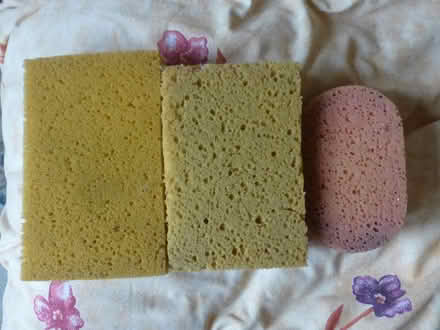 Photo of free Assorted sponges (BS3 Southville) #1