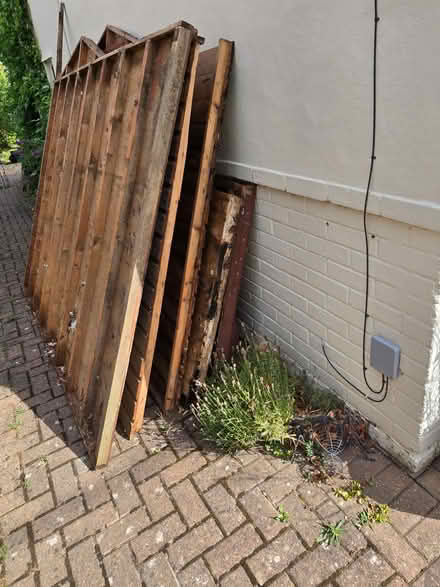 Photo of free Shed panels from 8x6 shed (Kennington OX1) #2
