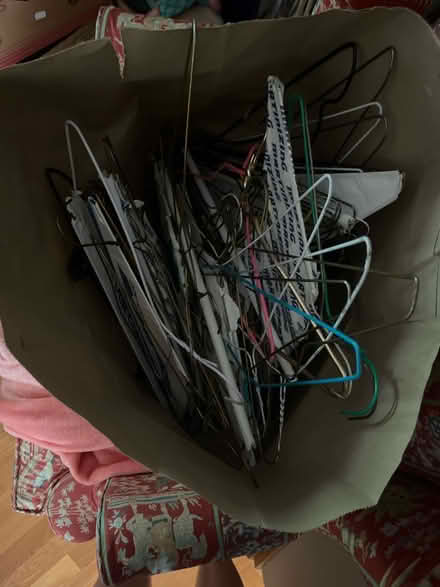 Photo of free Wire Hangers (Farmington Hills) #2