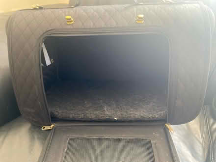 Photo of free Cat or small dog carry bag (Golborne WA3) #2