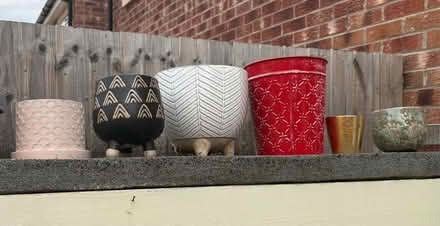 Photo of free Plant pots (Walkley S6) #1