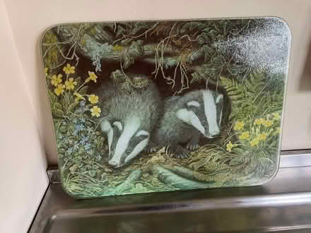 Photo of free Glass chopping board (Fobbing SS17) #1