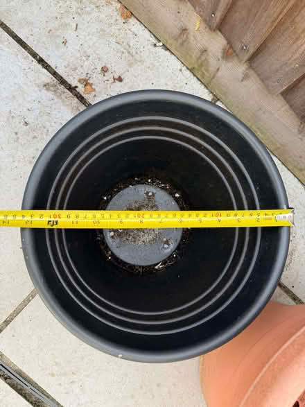 Photo of free Large plastic plant pots (Epping CM16) #4