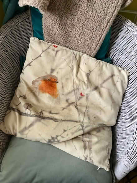Photo of free Cushion and cover (Raynes Park) #1