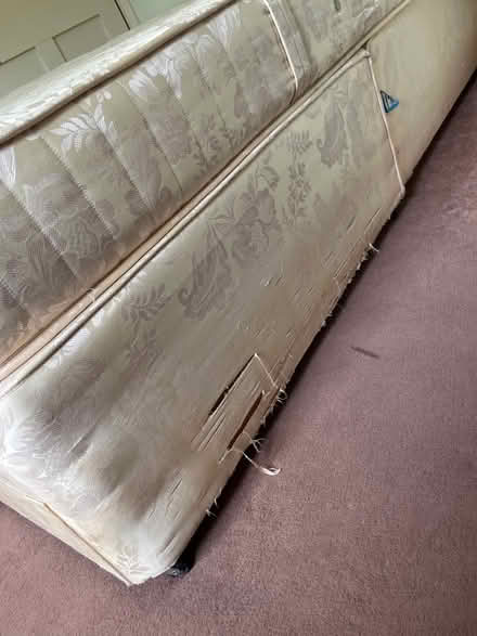 Photo of free Queen double bed (Saint Fagans CF5) #3