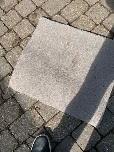 Photo of free Carpet Off cuts - various (Marshalswick AL1) #1