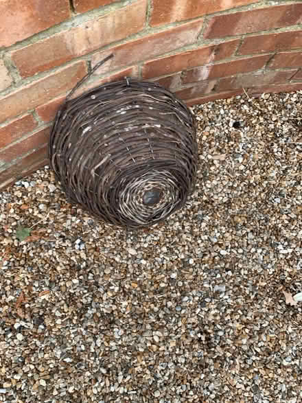 Photo of free Hanging basket (Burgess Hill RH15) #1