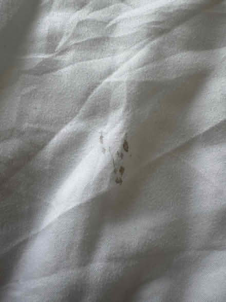 Photo of free Slumberland King size Duvet (Wood Farm OX3) #3