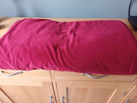 Photo of free Large red fleece throw (Royston SG8) #1