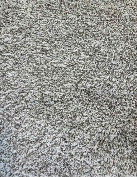 Photo of free NEW 8x8-1/2 ft Carpet (Eldorado/Hardin) #1