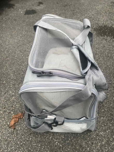 Photo of free Cat careier (Golborne WA3) #2