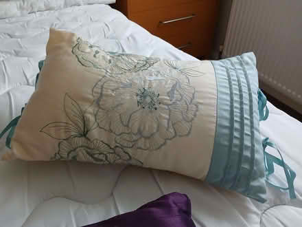 Photo of free Assorted Cushions (South Darenth DA4) #4