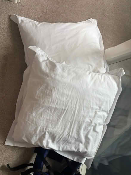 Photo of free 2 x Large pillows w/covers (Warrington WA4) #1