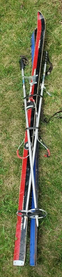 Photo of free Vintage Skies with Poles (Middletown) #1