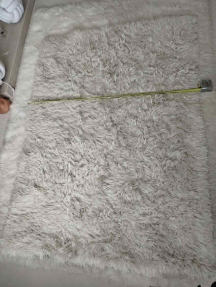 Photo of free White Shaggy Rug. (Burnham On Sea TA8) #1