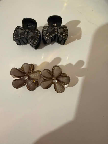 Photo of free Ladies mini hair clips (E3) #1