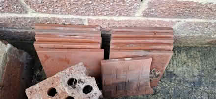 Photo of free Quarry Tiles (Harrogate HG1) #1