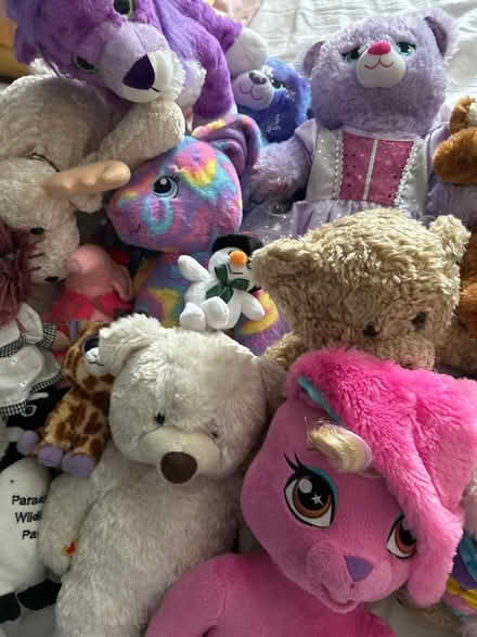 Photo of free All the teddies (Little Chalfont HP8) #4