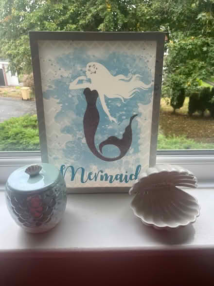 Photo of free Two sets mermaid bedding and mermaid accessories (Ladybridge BL3) #1