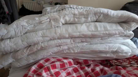 Photo of free Single duvets and bedding (BH8 Queens Park) #1