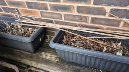 Photo of free 2 long black plastic platers (Urmston M41) #1