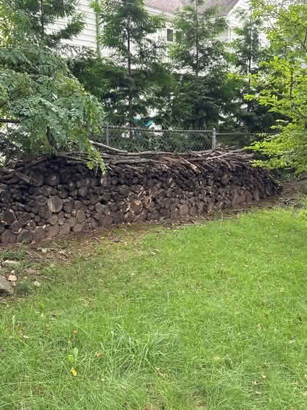 Photo of free Wood (Croton-on-Hudson) #1