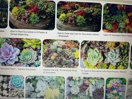 Photo of plants (Oakwood LS8) #1