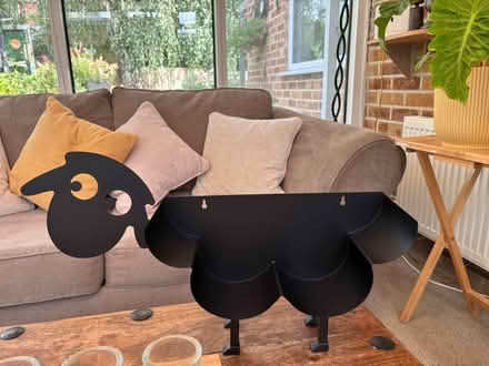 Photo of free Toilet holder sheep (Colehill BH21) #1