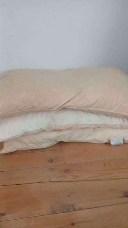 Photo of free Old but clean towels, blankets, pillows (Chipping Sodbury BS37) #1