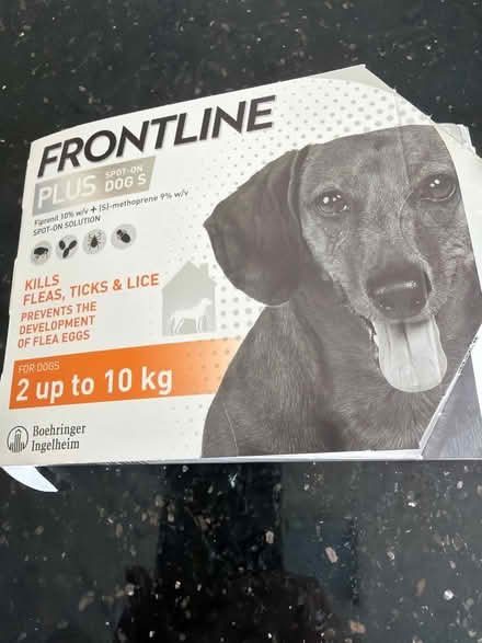 Photo of free dog flea treatment (Orpington BR6) #1