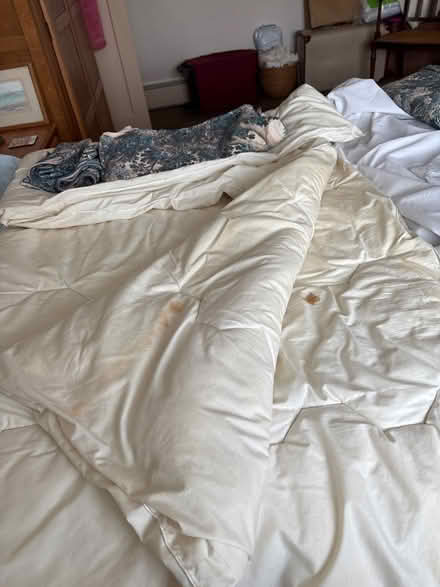 Photo of free Double duvet with covers etc (London W3) #1