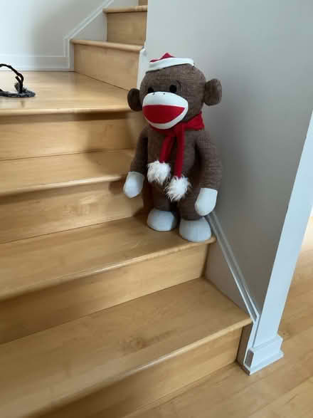 Photo of free Sock Monkey, large (Gtown + Clopper & Richter Farm) #1
