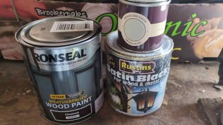 Photo of free Paints (Urmston M41) #1