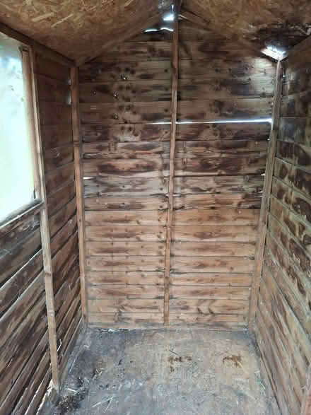 Photo of free 4x6 garden shed (Witham CM8) #3
