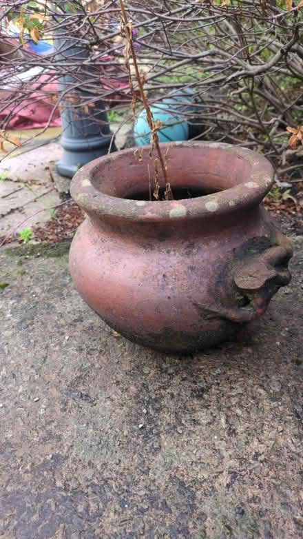 Photo of free Medium terracotta plantpot urn (Urmston M41) #1