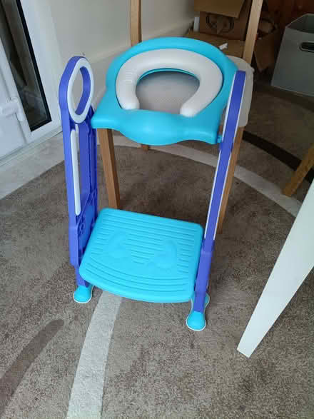 Photo of free Infants toilet seat and attached steps (Portishead BS20) #1