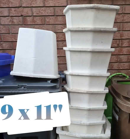 Photo of free Mini Wintering Polycones (9) (Le Plateau (near the Walmart)) #1