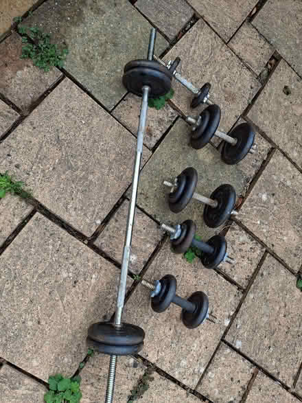 Photo of free Weights & adjustable bench (Rusthall TN3) #3