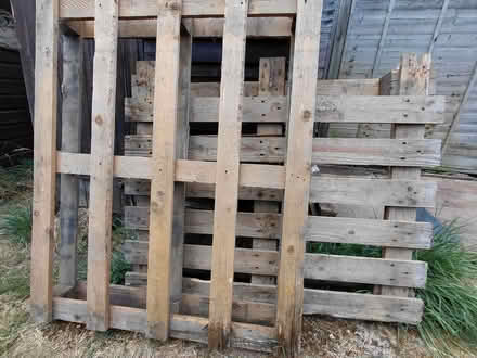 Photo of free Pallets x2 (New Greens AL3) #1