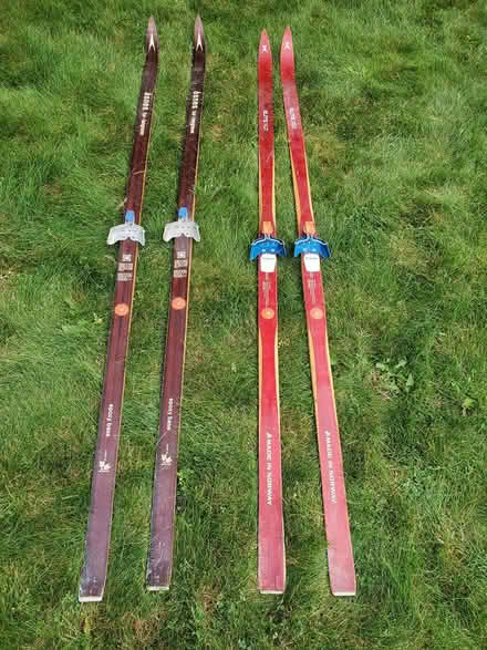 Photo of free Skis (Near Experimental Farm) #3