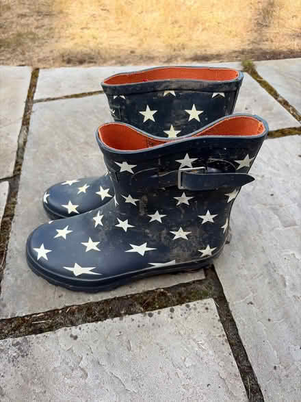 Photo of free Wellies UK 8 (Berkhamsted HP4) #4
