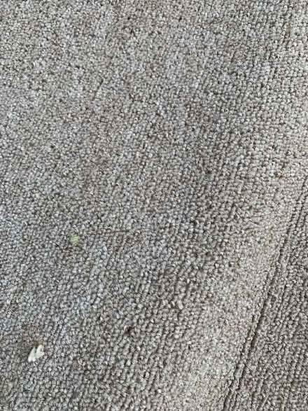 Photo of free Carpet Off cuts - various (Marshalswick AL1) #3