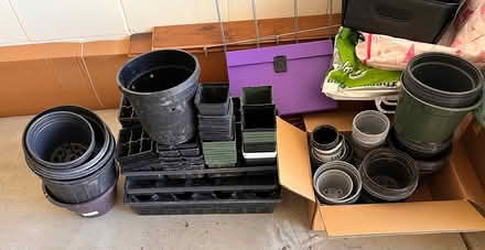 Photo of free Empty planting pots for growers (McMurray) #1