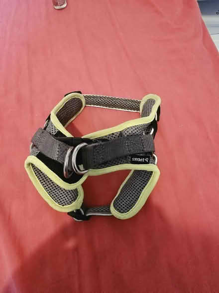 Photo of free Dog Harness (Bellingham SE6) #2